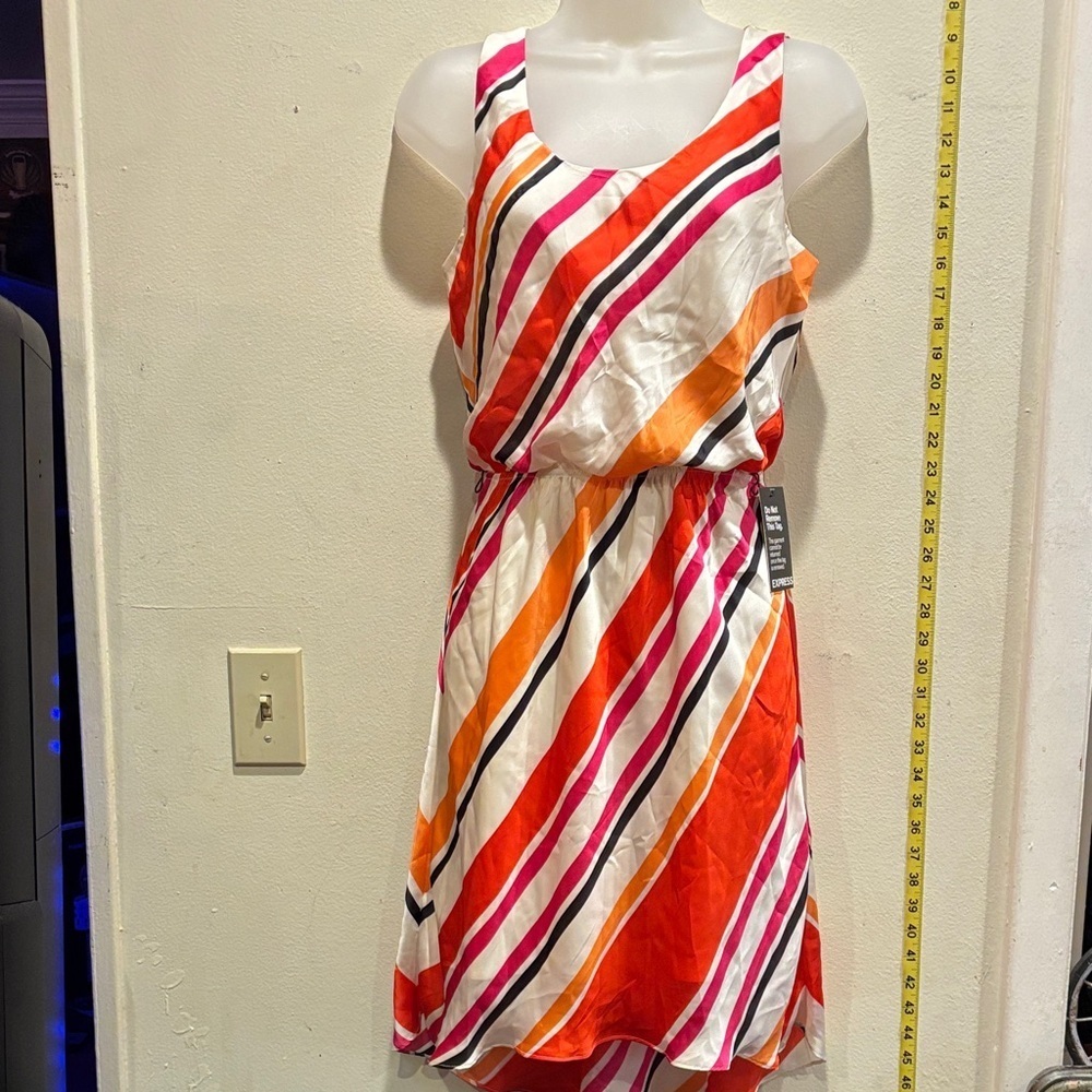Express Bold Striped Dress